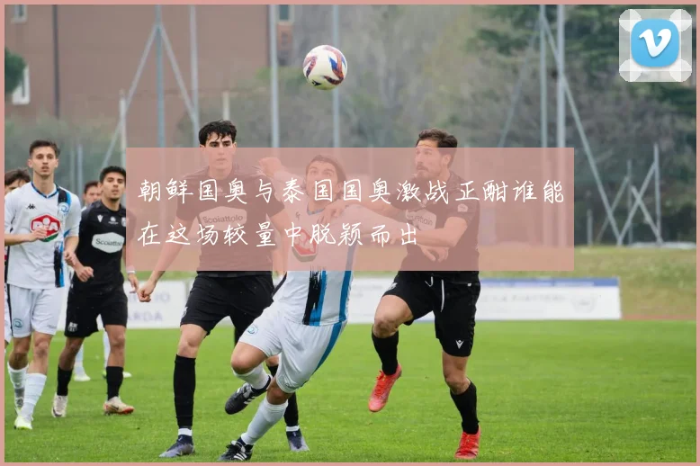 朝鲜国奥与泰国国奥激战正酣谁能在这场较量中脱颖而出