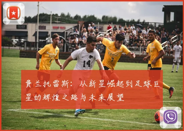 费兰托雷斯：从新星崛起到足球巨星的辉煌之路与未来展望