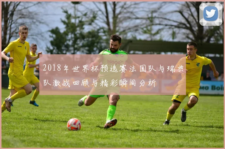 2018年世界杯预选赛法国队与瑞典队激战回顾与精彩瞬间分析