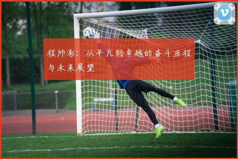 程帅澎：从平凡到卓越的奋斗历程与未来展望