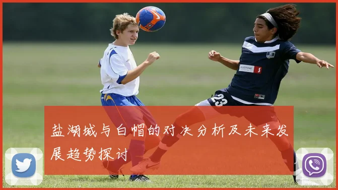 盐湖城与白帽的对决分析及未来发展趋势探讨