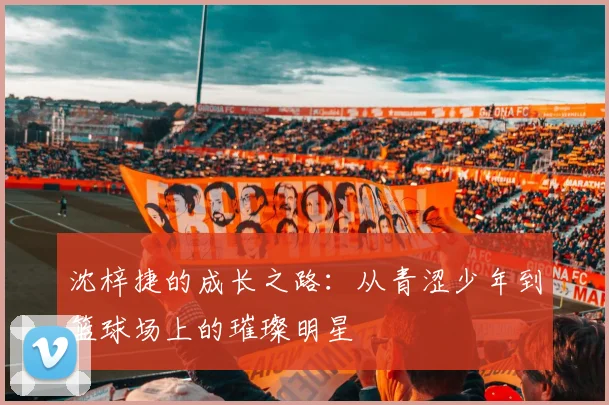 沈梓捷的成长之路：从青涩少年到篮球场上的璀璨明星