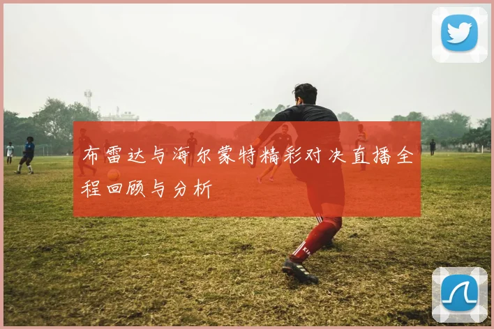 布雷达与海尔蒙特精彩对决直播全程回顾与分析